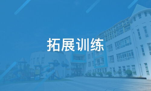 青島比鄰奈爾企業管理咨詢及旗下淘學培訓服務的綜合評析