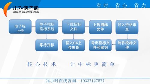 2021江西省標(biāo)書編寫公司選擇指南 全程加密合作與小飛俠標(biāo)書公司教育咨詢服務(wù)分析